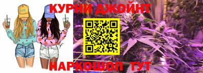 дживик Кингисепп